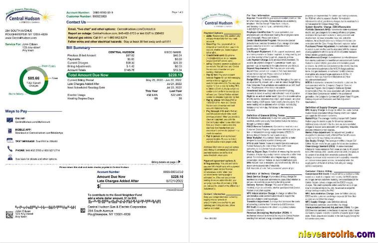 USA New York Central Hudson A fortis company utility bill, 3 pages 1 2